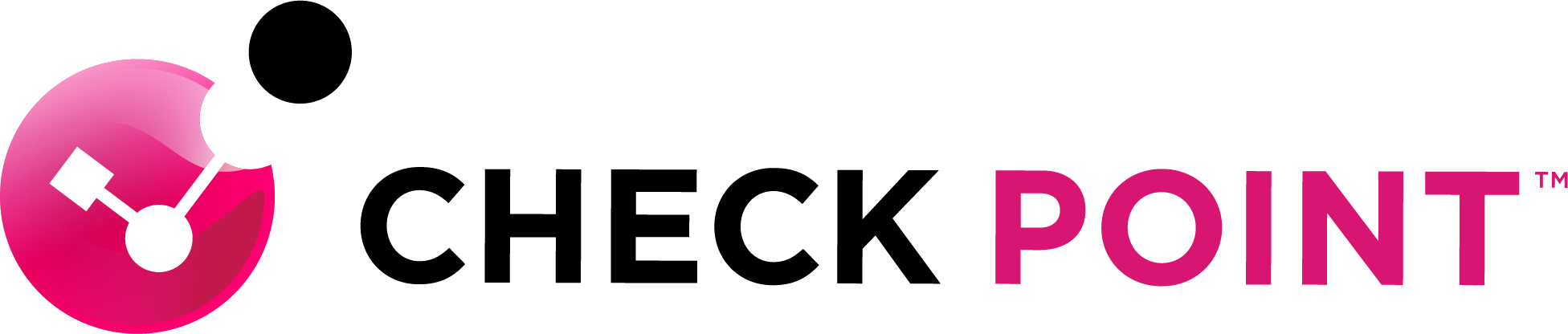 Check Point Logo