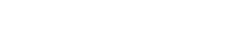 Check Point Logo in white