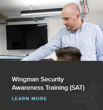 Wingman_SAT