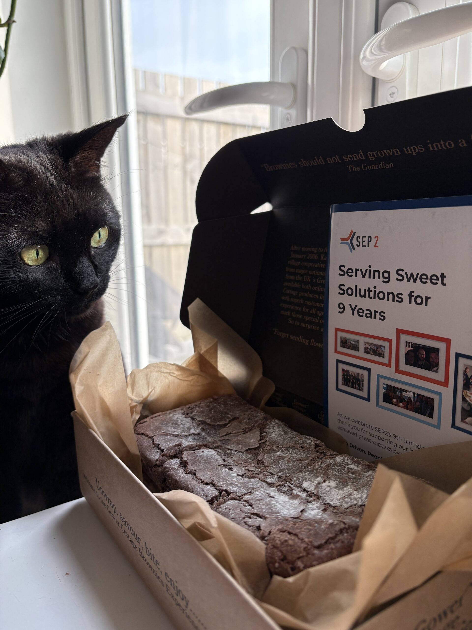 Celebrating 9 years of SEP2 with their annual birthday brownies